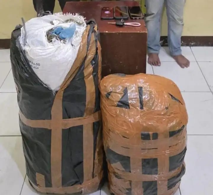 Ditresnarkoba Polda Sumut Gagalkan Peredaran 20 Kg Ganja Asal Aceh, Tiga Pelaku Diamankan di Medan
